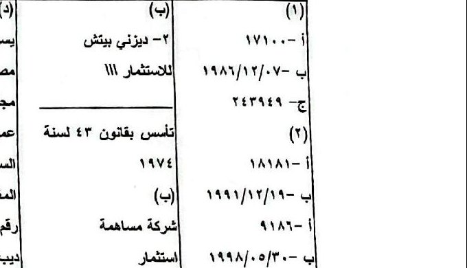صورة خانة الاسم التجاري ونوع الشركة في المستخرج الرسمي: شركة مساهمة استثمار تأسست بقانون ٤٣ لسنة ١٩٧٤